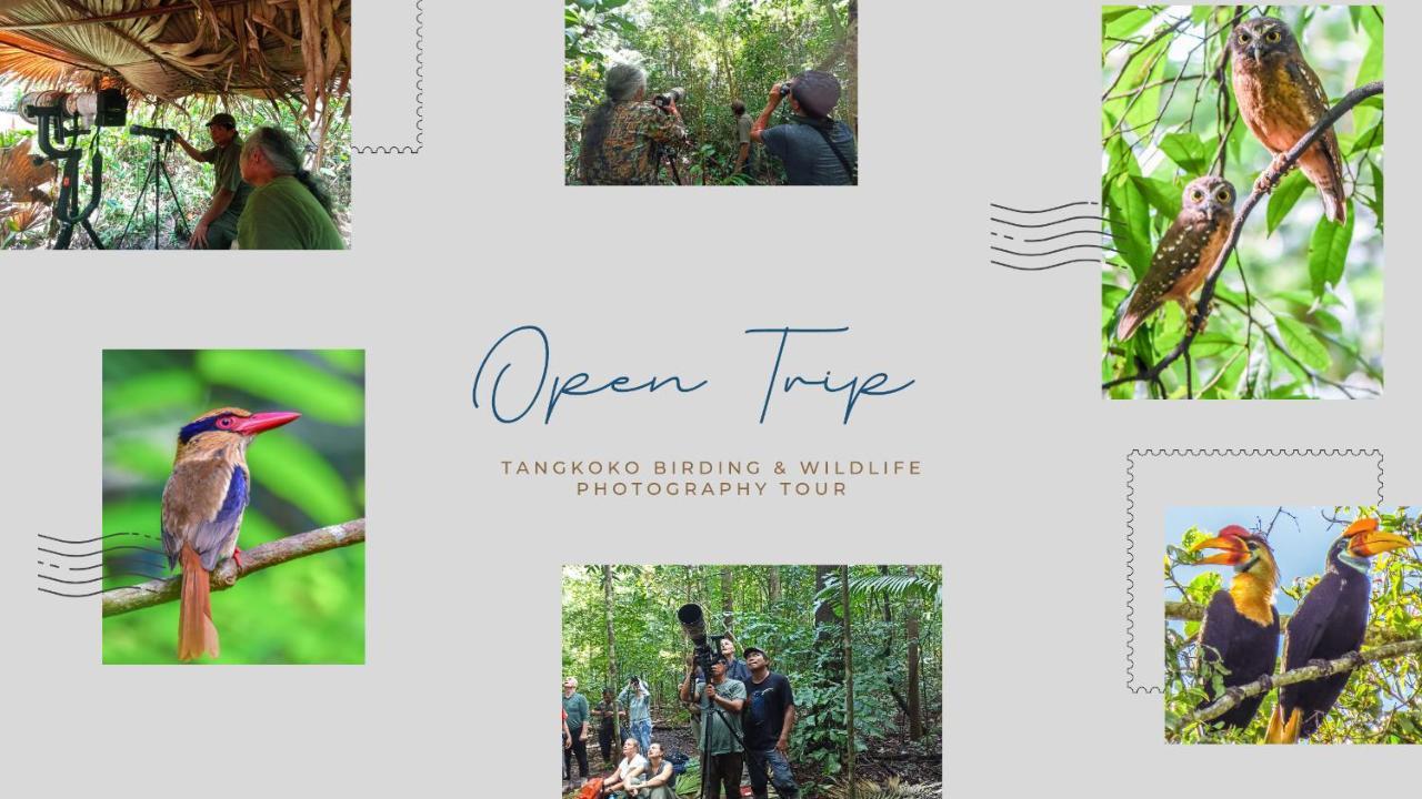 Tangkoko Ranger Homestay Bitung Ngoại thất bức ảnh